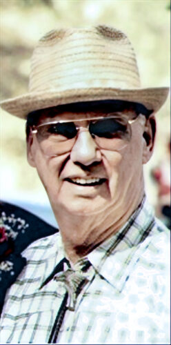 DONALD WILLIAMSON